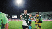Football Vamos GIF by Sporting CP
