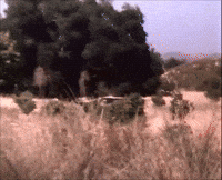 Dukes Of Hazzard Television GIF