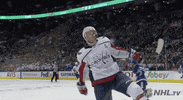 Celebrate Ice Hockey GIF by NHL