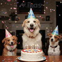 Celebrating Happy Birthday GIF by ikas