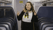 SpiritAirlines fly letsgo spirit spiritairlines GIF