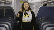 SpiritAirlines fly letsgo spirit spiritairlines GIF