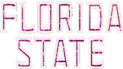 glitter sparkles Sticker by Florida State University