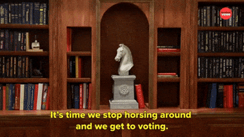 Stop Horsing Around