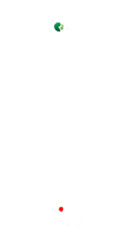 Camera Recording Sticker by Sementes Roos