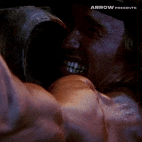 Arnold Schwarzenegger Film GIF by Arrow Video
