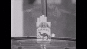 scottok smoking camels GIF