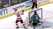 Celebrate Ice Hockey GIF by NHL