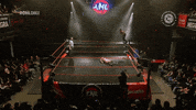 GIF by CNL Chile