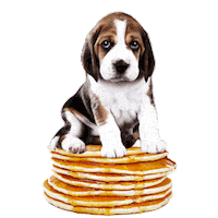 hungry dog Sticker by Puppies Make Me Happy