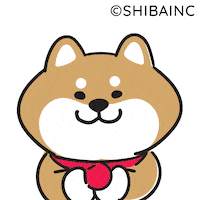 Fun Love Sticker by SHIBAINC