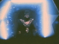 Localsightings Krogstad GIF by Northwest Film Forum