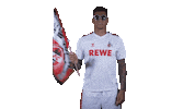 1 Fc Cologne Football Sticker by 1. FC Köln