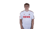 1 Fc Cologne Football Sticker by 1. FC Köln