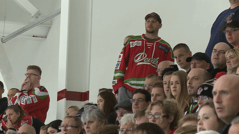ice hockey fans GIF by Cardiff Devils