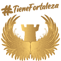 fortalezaguitars mexico usa guitar handmade Sticker