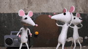 chol_slumbo  GIF