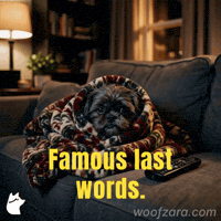 Tired Shih Tzu GIF by Woofzara