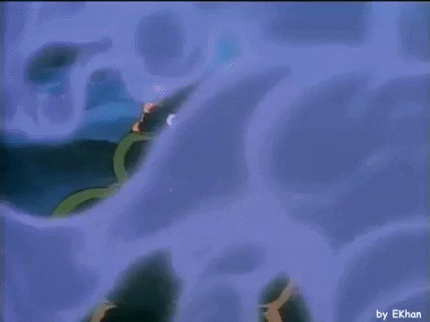 hurraakerkko giphygifmaker cartoon intro tmnt GIF