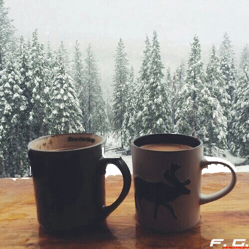 Video gif. Two mugs of hot chocolate sit on a window sill while snow falls gently on pine trees outside.