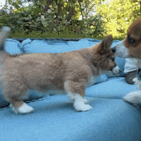 First Day Hello GIF