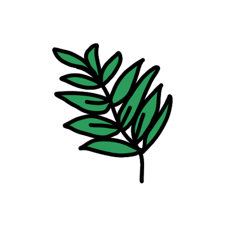 fun funady Sticker by Ivo Adventures