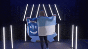 University Of North Carolina GIF by UNC Tar Heels