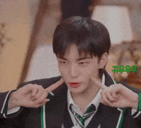 Stray Kids Skz GIF