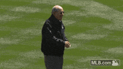 nyy GIF by MLB