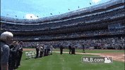nyy GIF by MLB