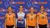 Team Volleyball GIF by BVC Holyoke
