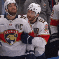 Lean On Me Hug GIF by Florida Panthers