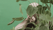 Tim And Eric Plants GIF by StickerGiant