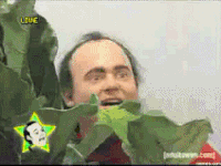 bush GIF