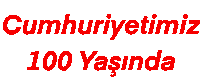 29Ekim Sticker by Miyase
