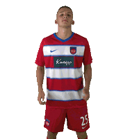 Daumen Hoch Hdh Sticker by 1. FC Heidenheim 1846