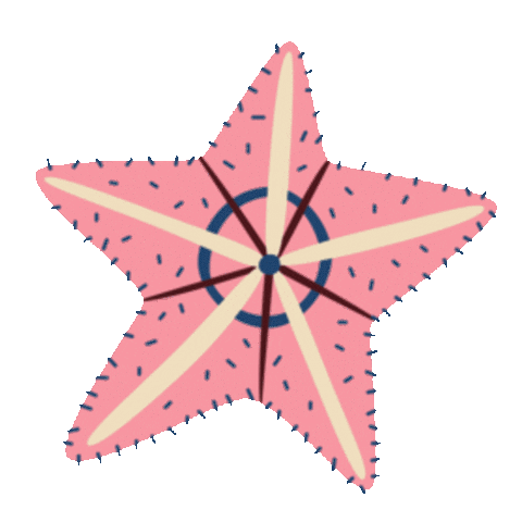 Summer Pink Sticker