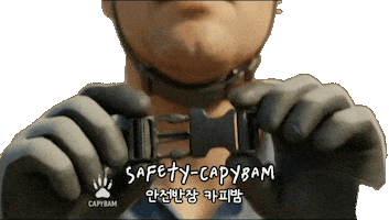 Check Capybara Sticker