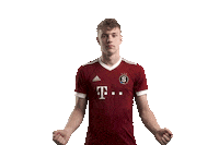 Celebration Sticker by AC Sparta Praha