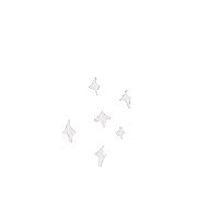 Sparkle Bling Sticker