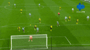 Watford Astonvilla GIF by MolaTV