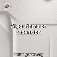 Design Geometry GIF by UnitedGreats