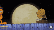 tired fat cat GIF by Boomerang Official