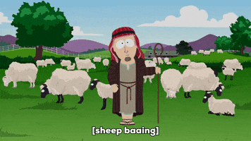 sheep shepard GIF by South Park 
