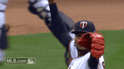 fist santana GIF by MLB