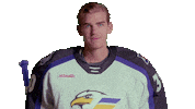Sticker by Colorado Eagles