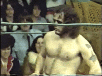 superstars of wrestling GIF