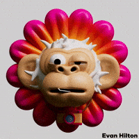 Film Camera GIF by Evan Hilton