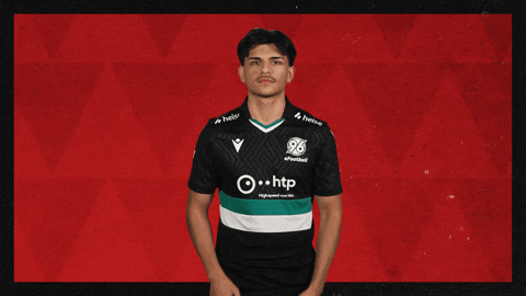 Hannover 96 Applause GIF by Bundesliga