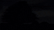 Music Video Chill GIF